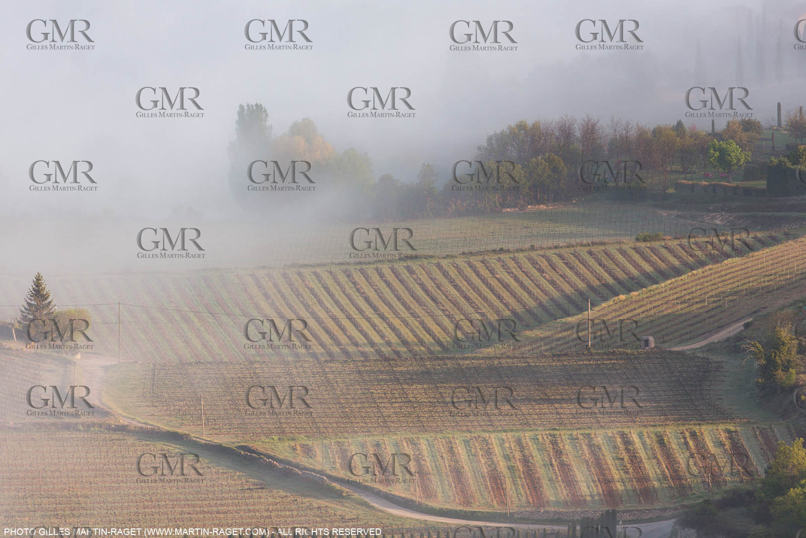 12 04 2016, Luberon National Park