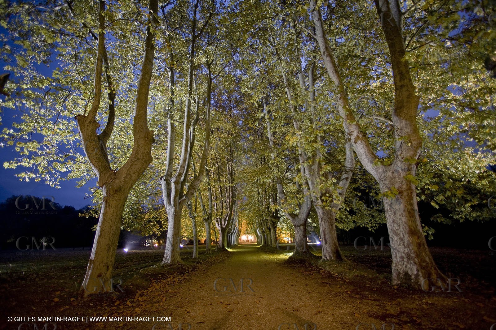 28 10 2007 - St Rémy de Provence (FRA,13) - Chateau des Alpilles