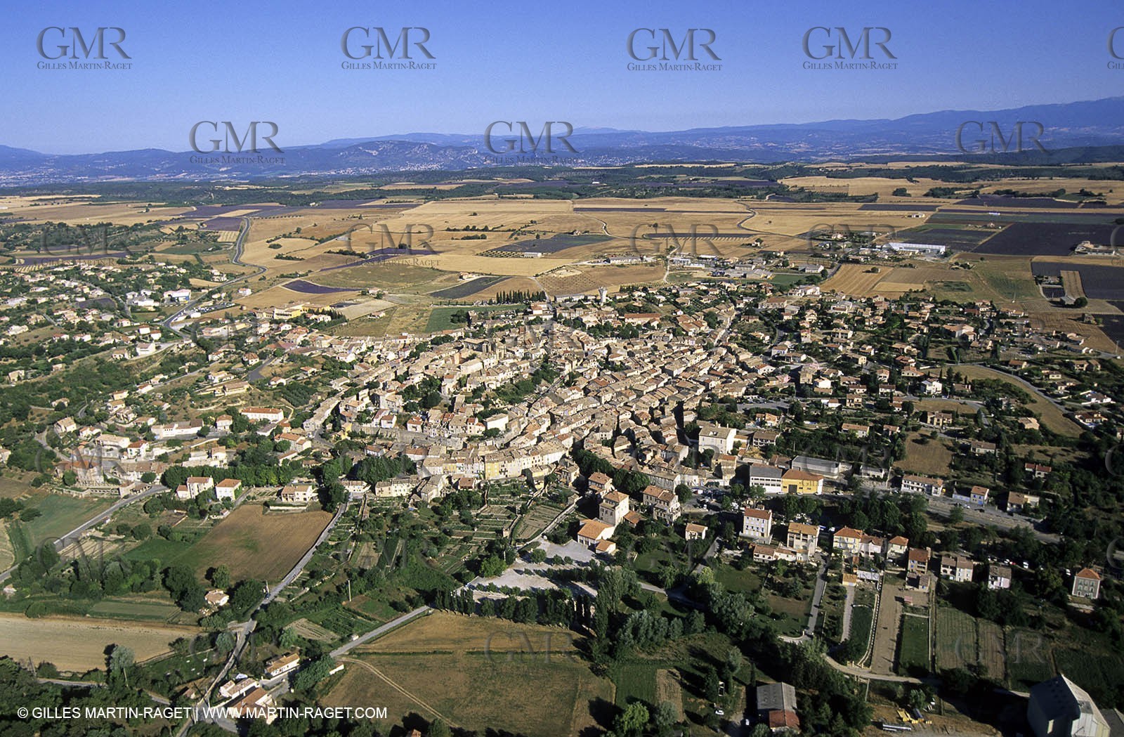 lavander fields , 2005, Valensole