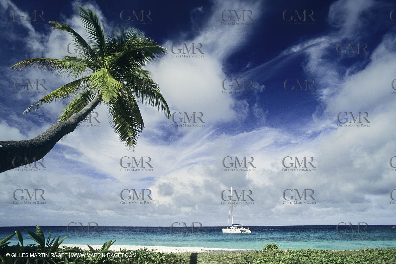 sailing - Cruising - Multihull at the mooring