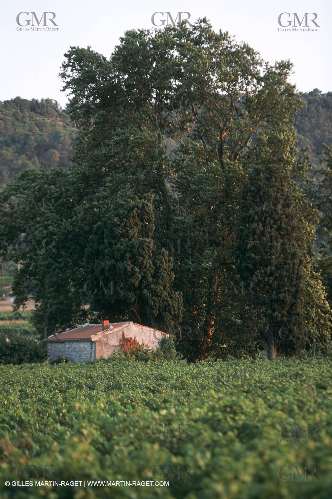 Nîmes Métropole landscapes (FRA,30) - Vaunage