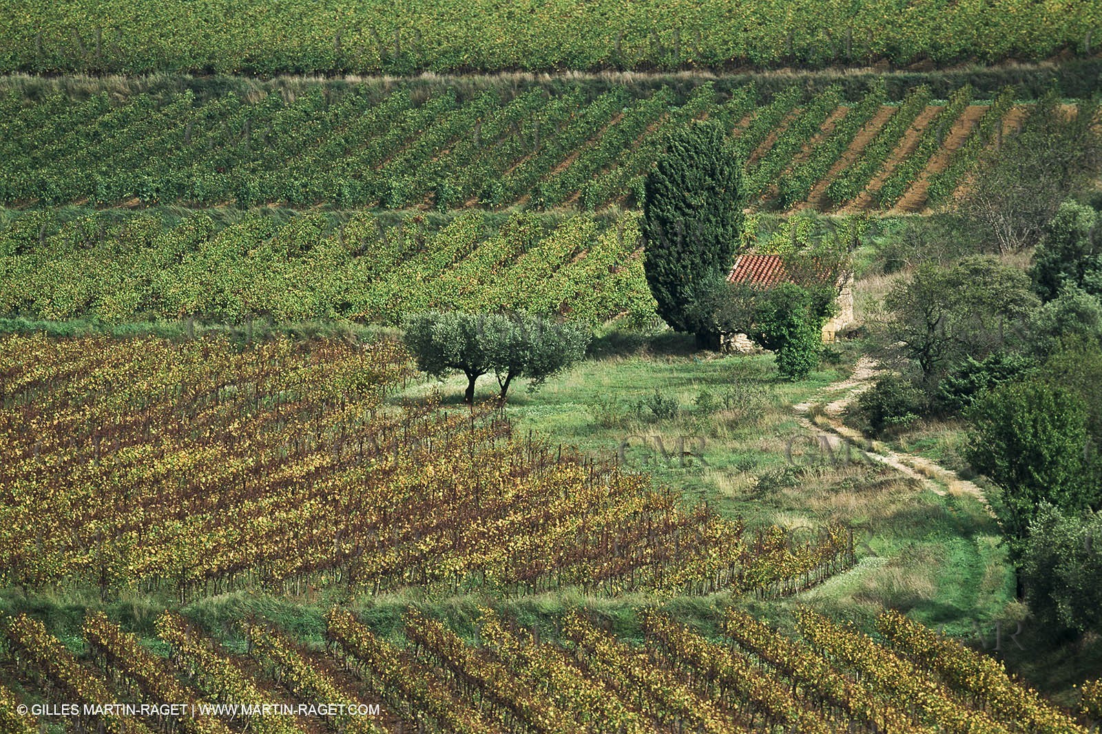 Paysages de Nîmes Métropole (FRA,30) - La Garrigue