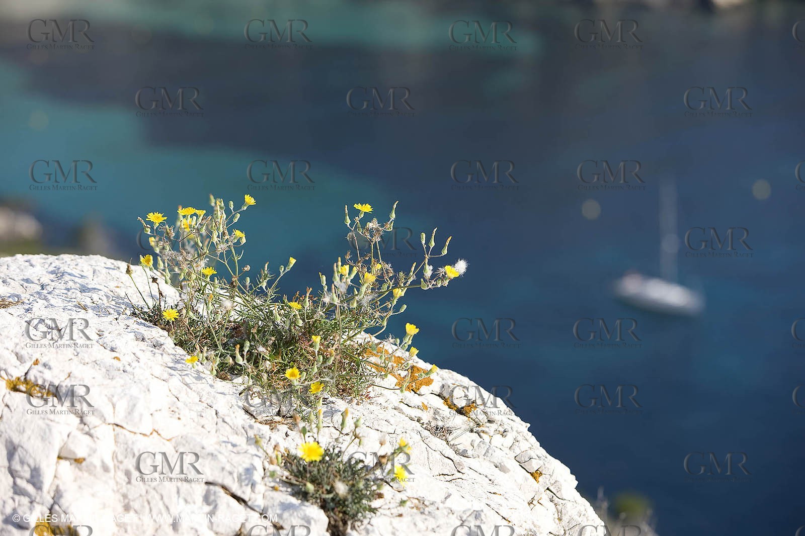 20 06 2008 - Marseille (FRA,13) - Croisière das les îles et les calanques - Sormiou