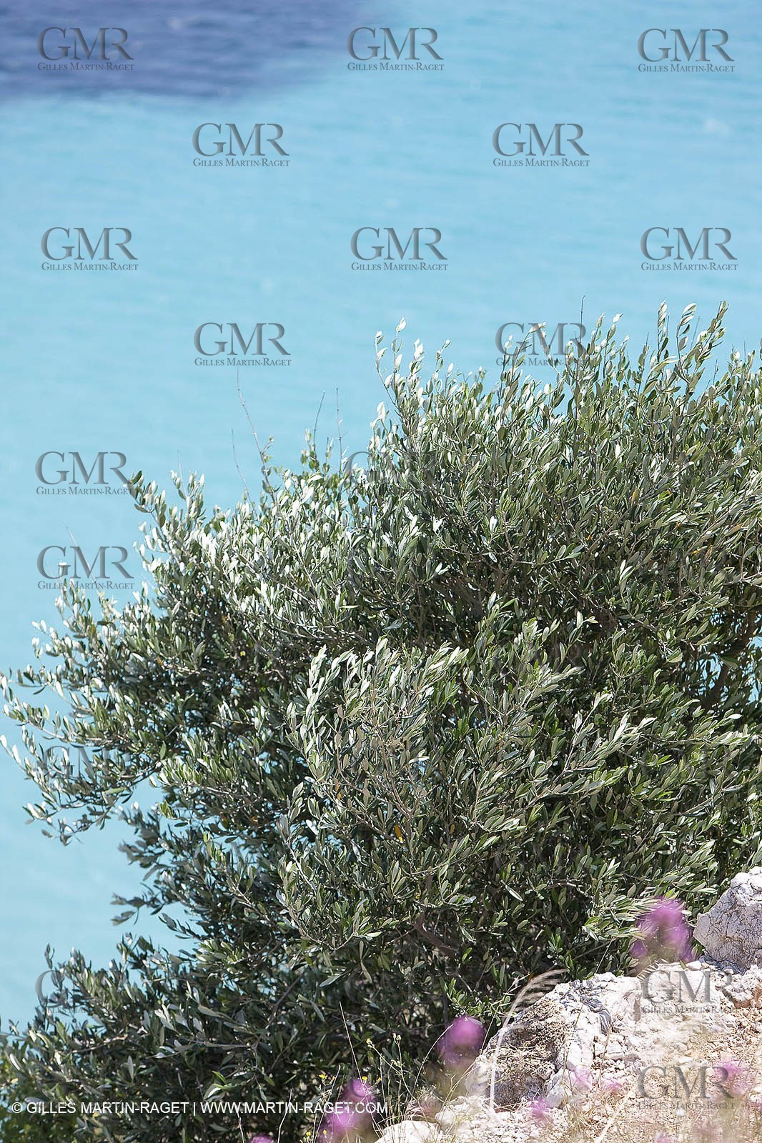 27 05 2009 - Marseille (FRA, 13) - Les Calanques - Sormiou