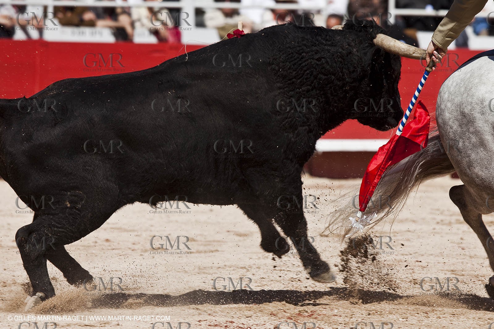 Lundi 05 04 2010 - Arles (FRA,13) - Feria 2010 -Corrida de rejon - Fermin Bohorquez - Pabloe Hemoso de Mendoza - Andy Cartagena - Toros Bohorquez