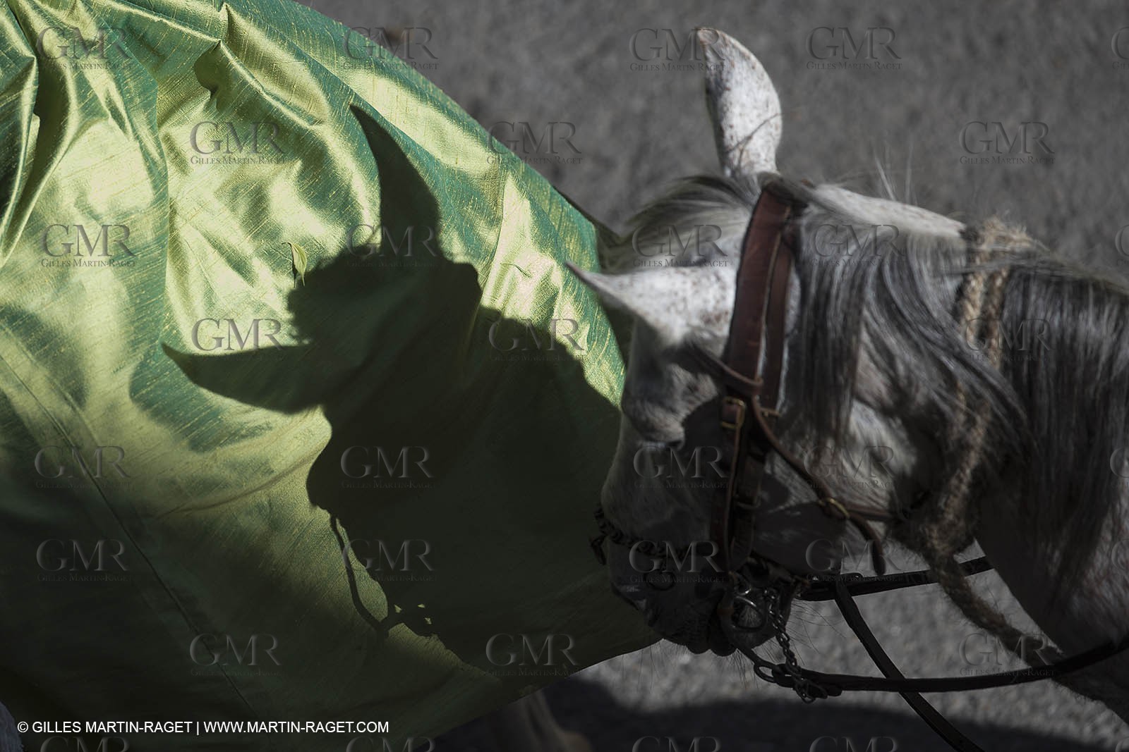 22nd Queen of Arles Election - Gardians of Camargue Annual Celebration - Arles (FRA,13) - May 1st 2014