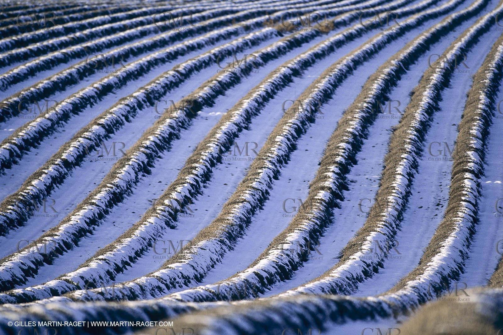 Provence under snow