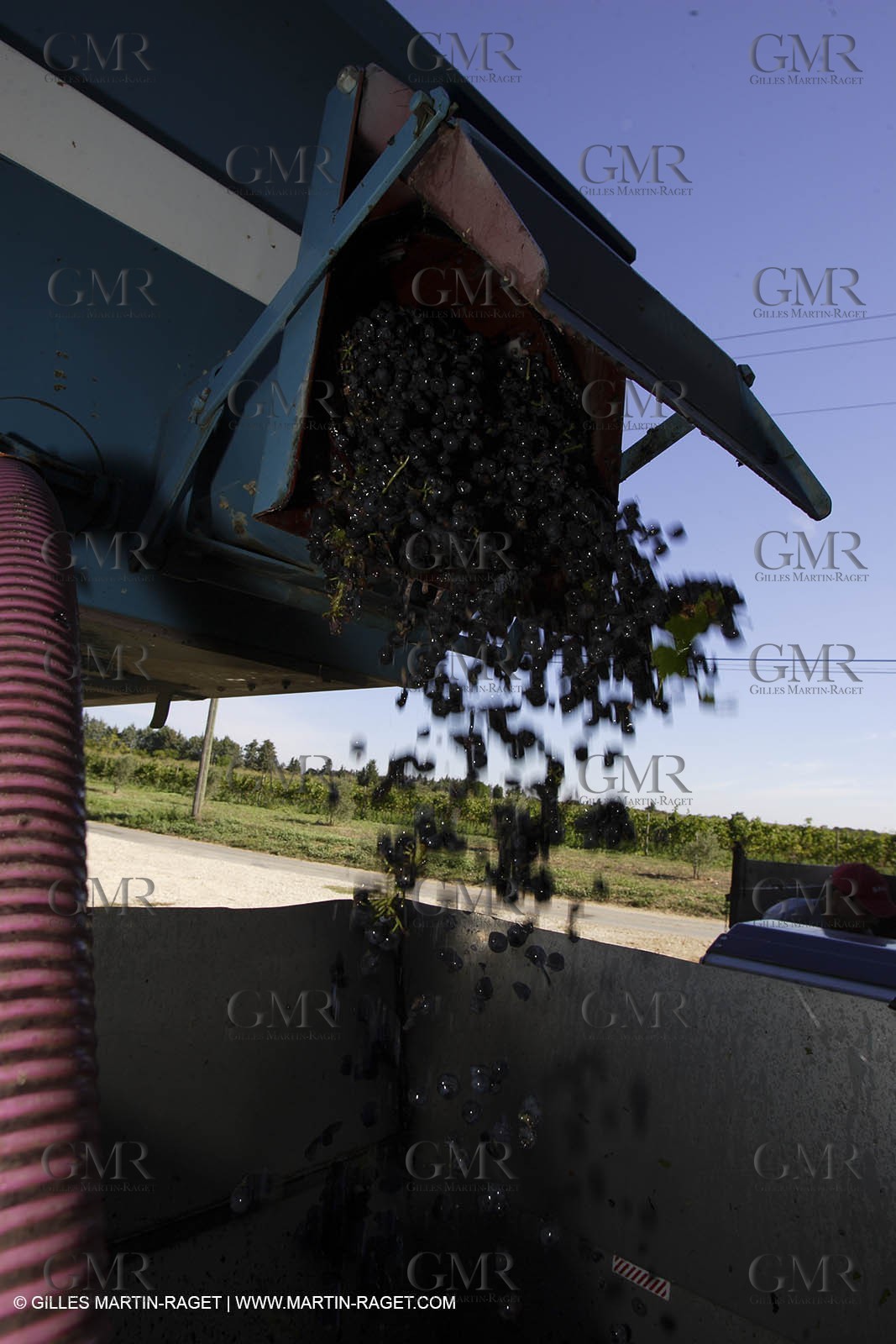 Harvest - D'or et de Gueule castle