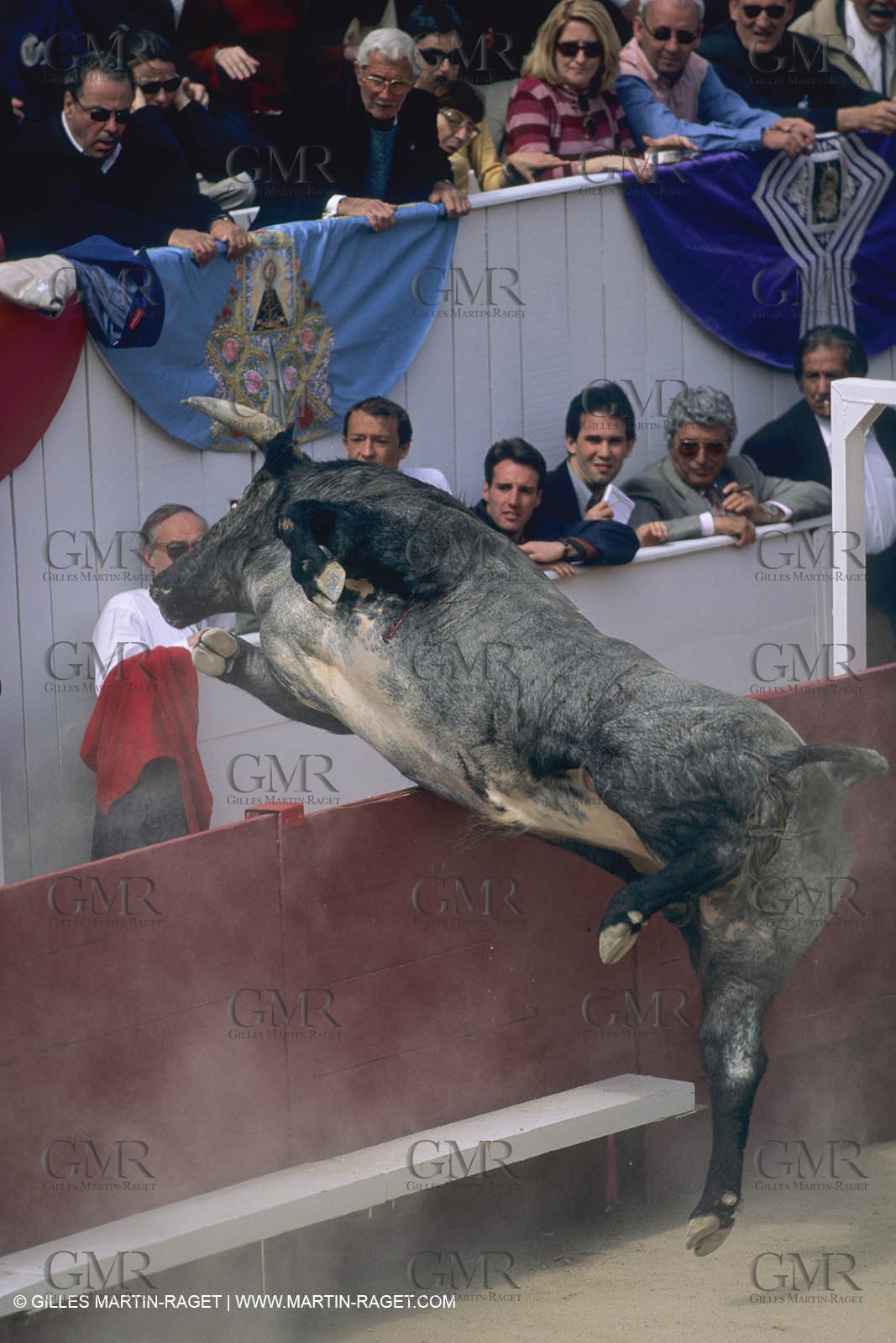 France, Provence, Traditions, Tauromachie, bull fights