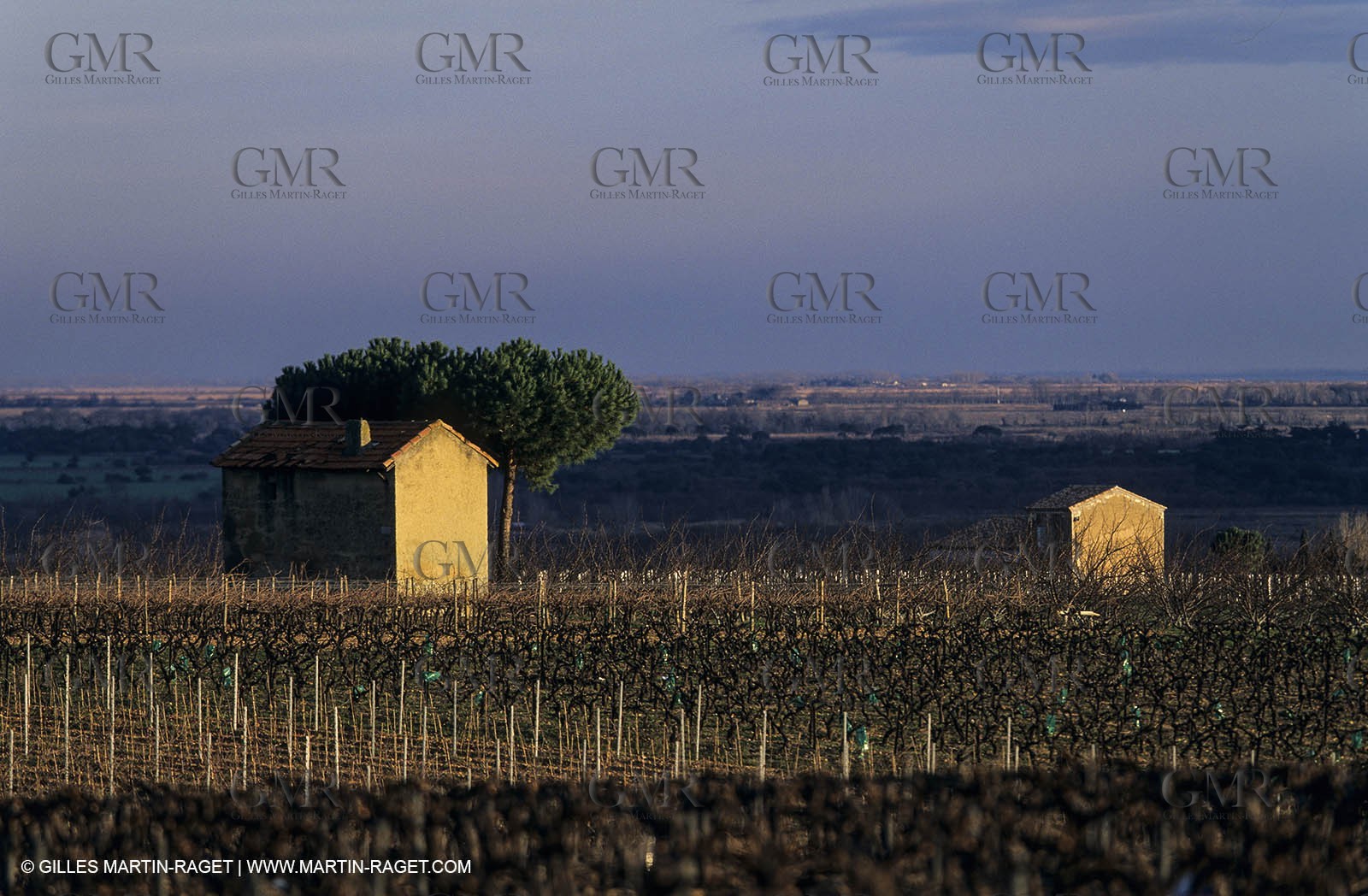 Paysages de Nîmes Métropole (FRA,30) - Les costières