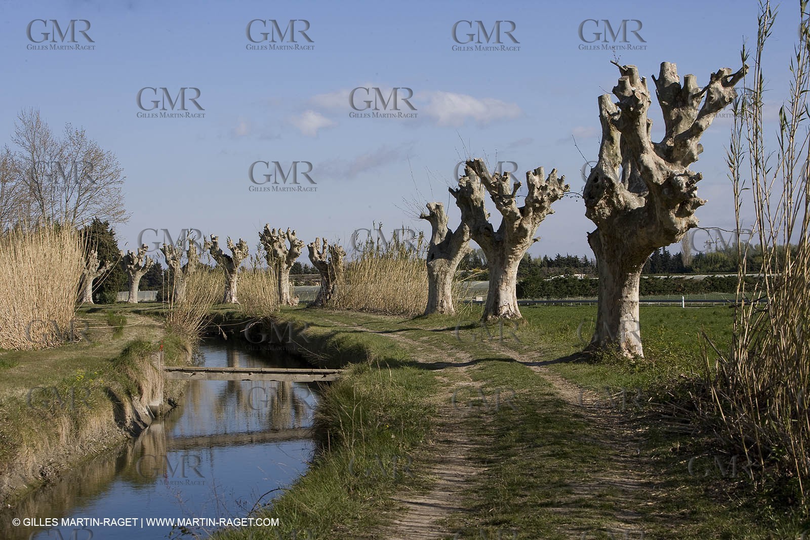 25 02 2005 - Arles and surroundings (FRA, 13) - Vincent Van Gogh south