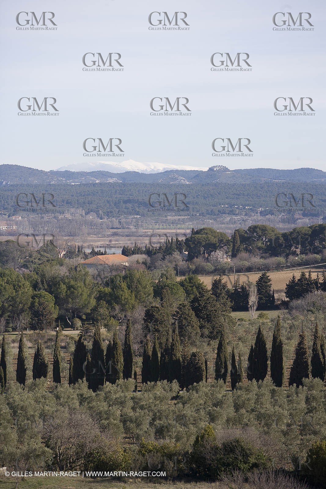 05 02 2008 - Arles (FRA, 13) - Arles surroundings landscapes