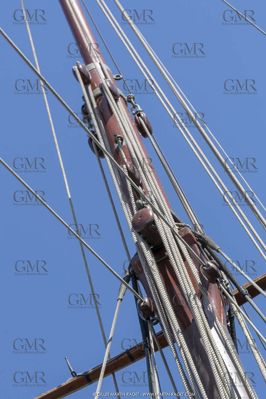 29 03 2019, Barcelona (Spain), Marigold