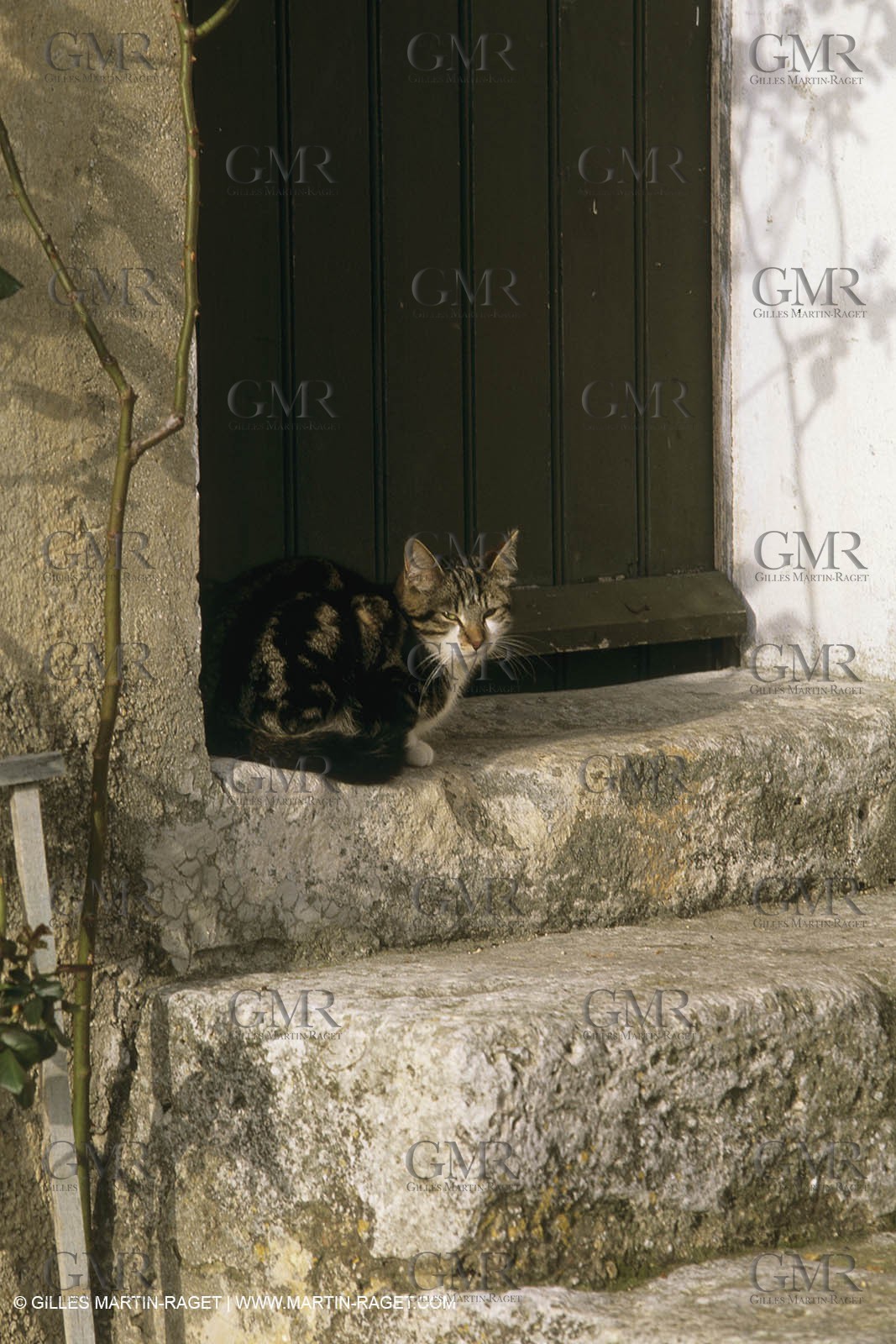 France, Provence, Villages du Luberon, détails, vieilles pierres, portes, toitures