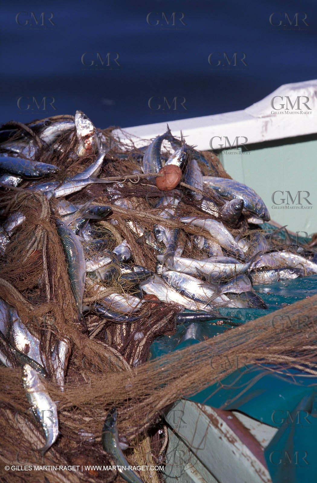 Local fishing - local fishing boats