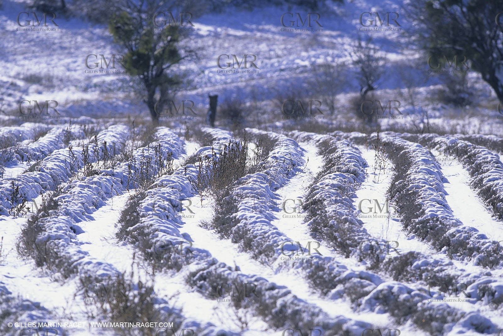 Provence under snow