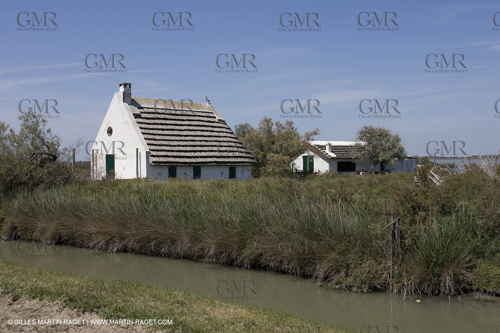 07 05 2008 - Le Cailar (FRA,30) - Tri à la manade du Mas du Pont de Laute
