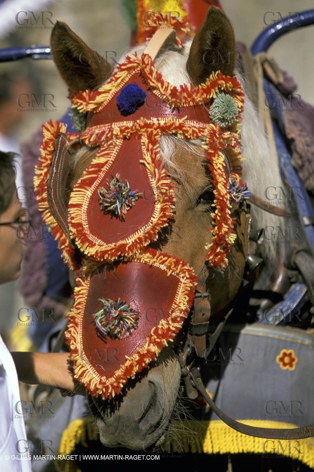 Careto ramado (Flowered chariot) traditional celebration - Saint Rémy de Provence