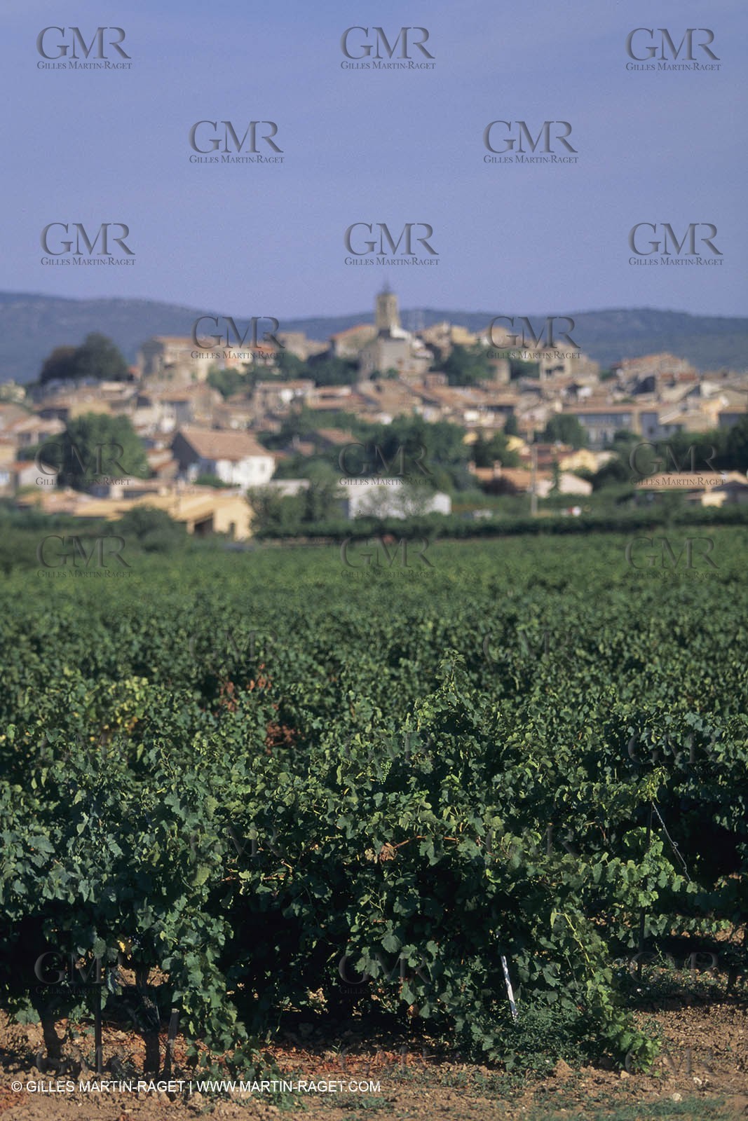 France, Provence, Pays d'Aix en Provence, Pourrières