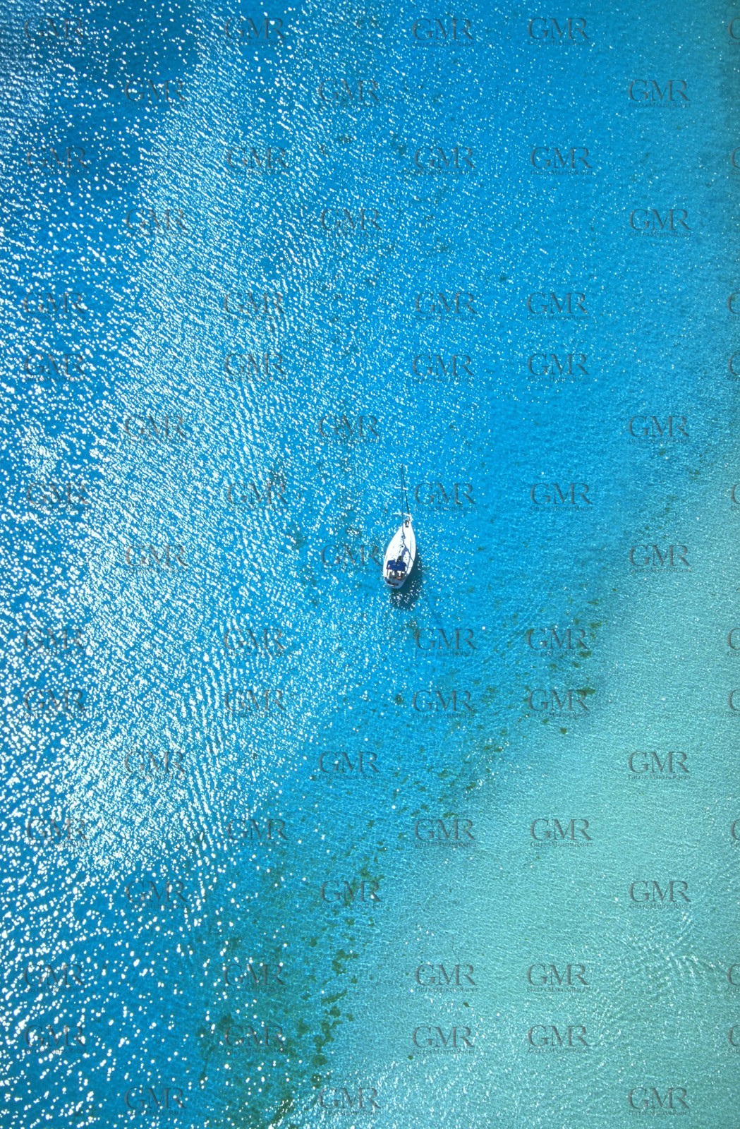 Polynesia