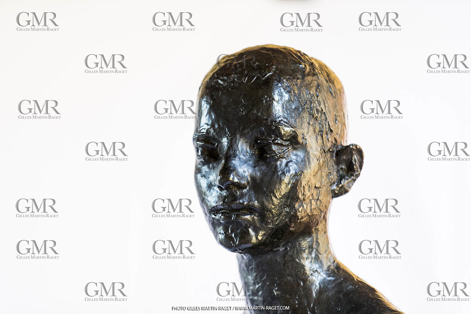 06 03 2016, Saint-Etienne du Grès (FRA,13), Oeuvre de Germaine Richier, Loretto I 1934, Bronze patiné foncé, Numéroté 4 6, fondeur Susse, Paris, 160 x 52 x 35 cm, Collection particulière