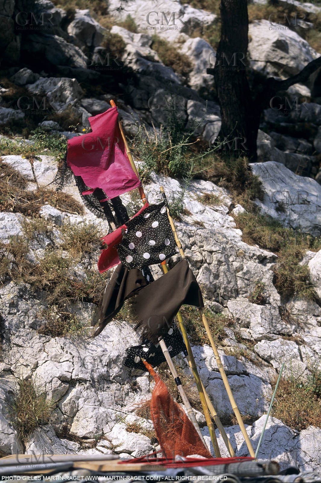 MORGIOU0947.jpg