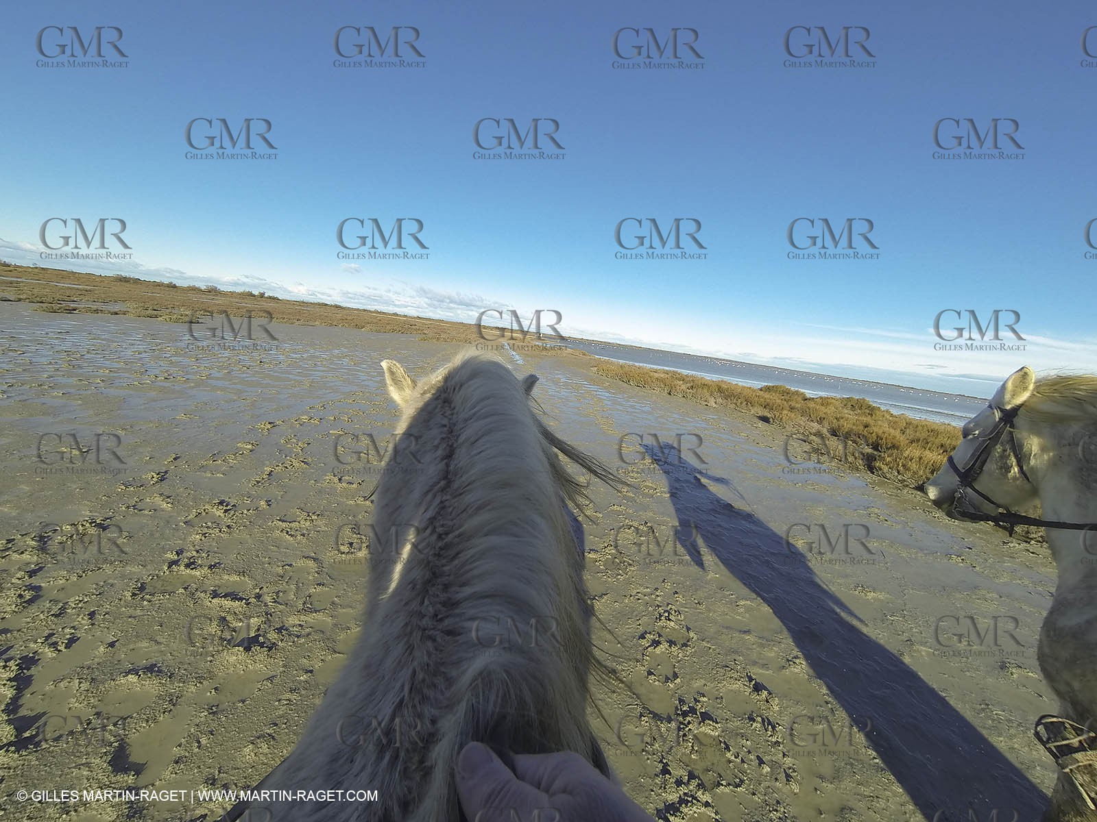 26 12 2013 - Les Saintes Maries de la Mer (FRA,13) - Horese riding at Cabanes de Cacharel