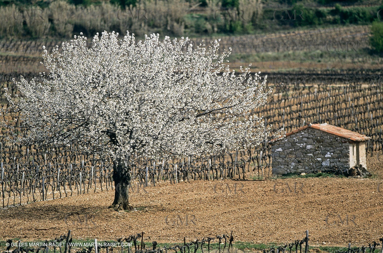 Aix en Provence area