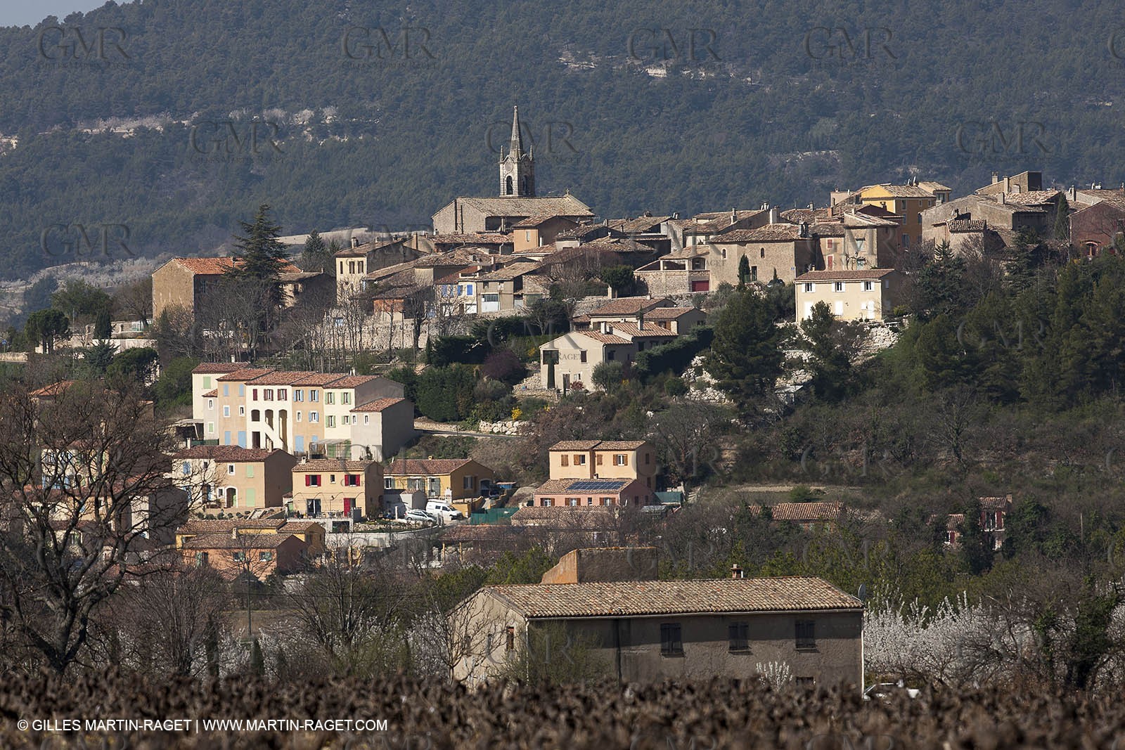 March 30th 2012 - Villars (FRA, 84) - blooming cherry trees