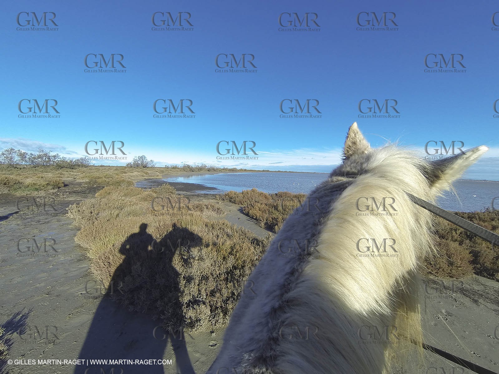 26 12 2013 - Les Saintes Maries de la Mer (FRA,13) - Horese riding at Cabanes de Cacharel