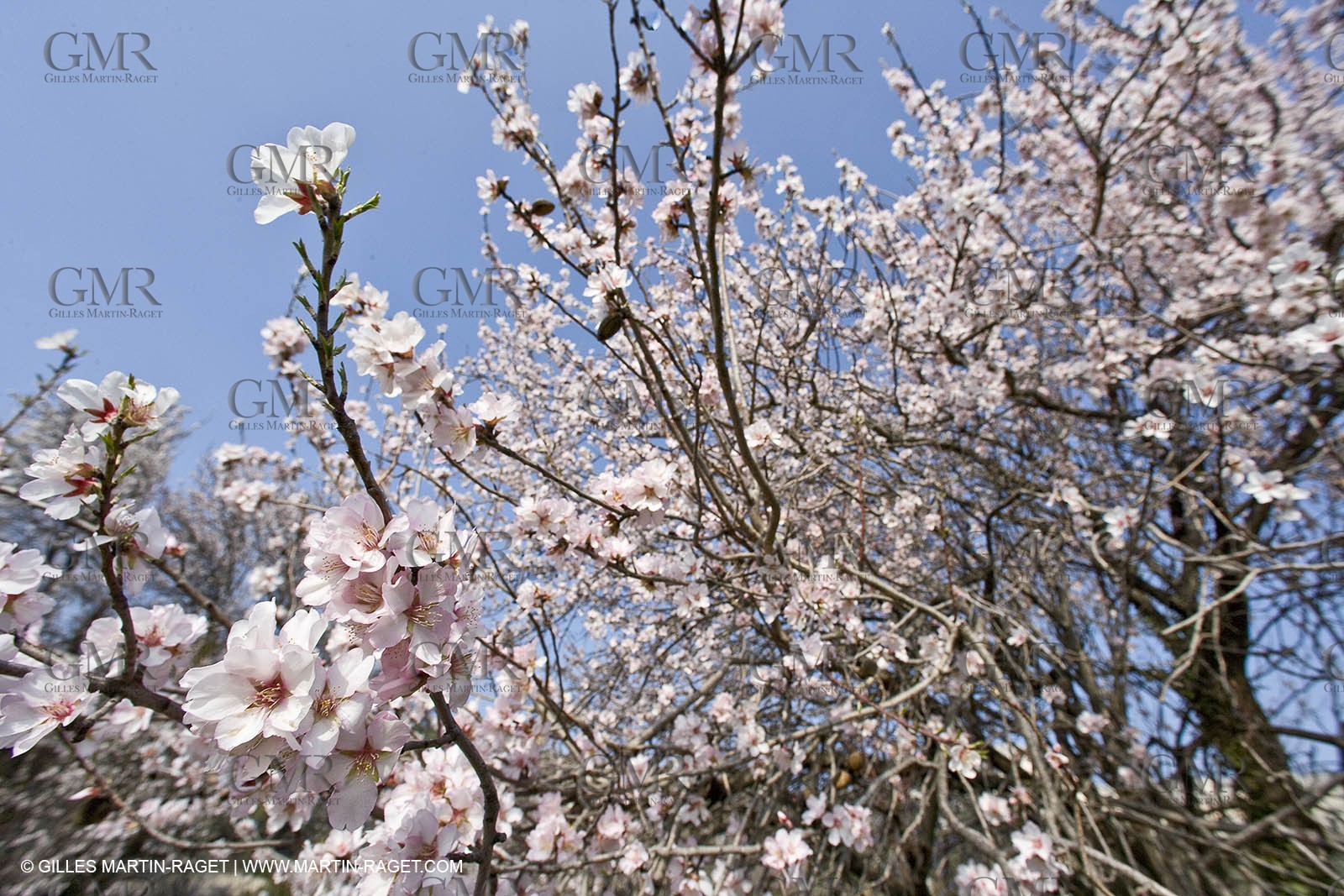 16 02 2008 - Les Baux de Provence (FRA, 13) - Alpilles hills landscapes