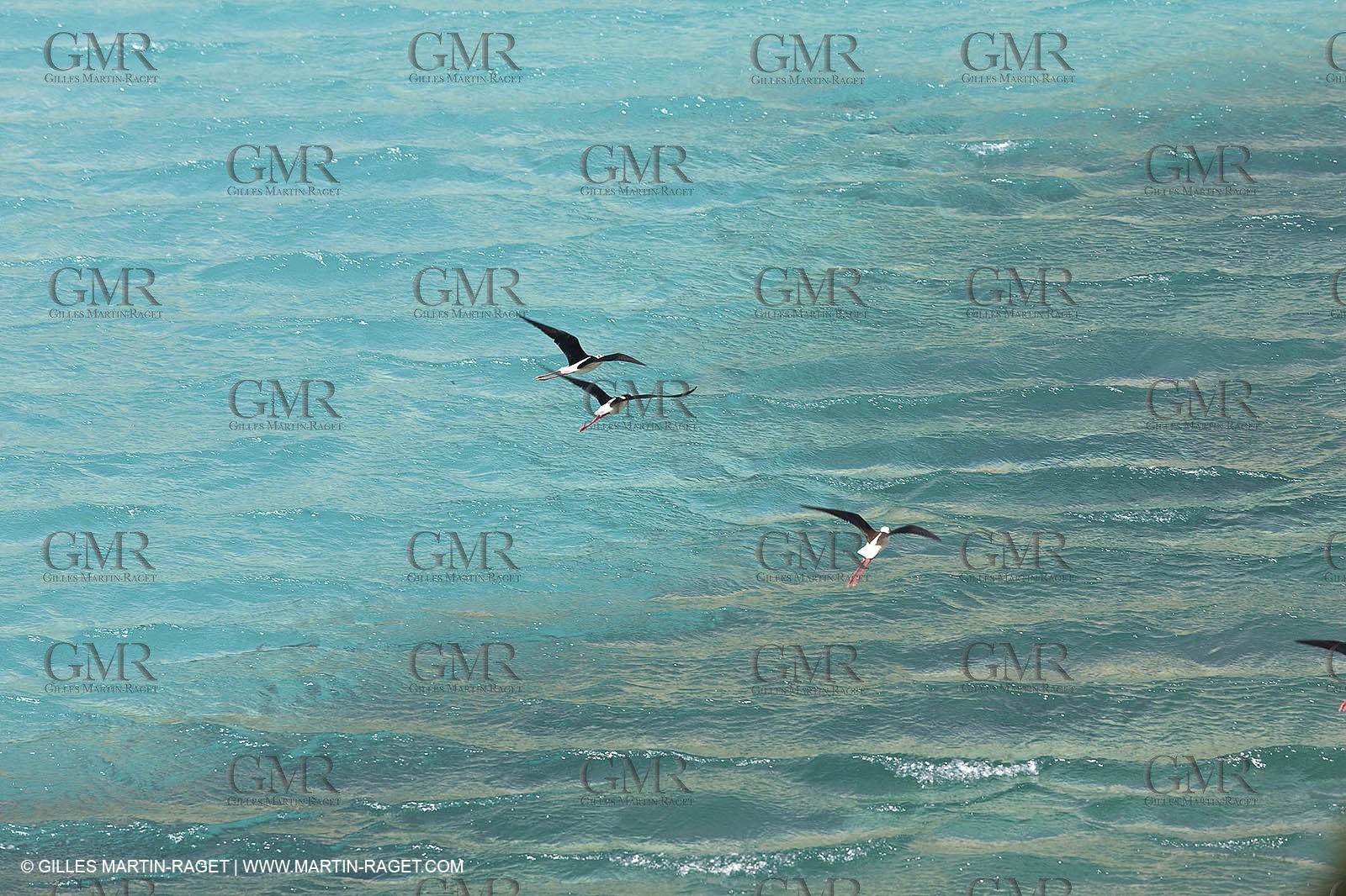 27 05 2009 - Marseille (FRA, 13) - Les Calanques - Sormiou