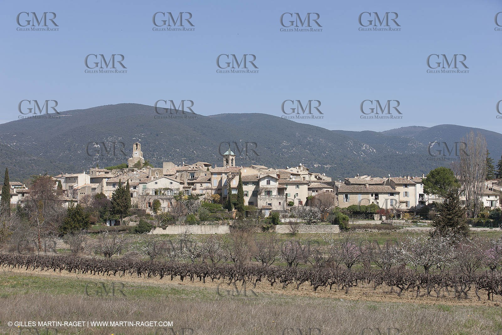 March 30th 2012 - Saint Saturnin les Apt (FRA, 84) - blooming cherry trees