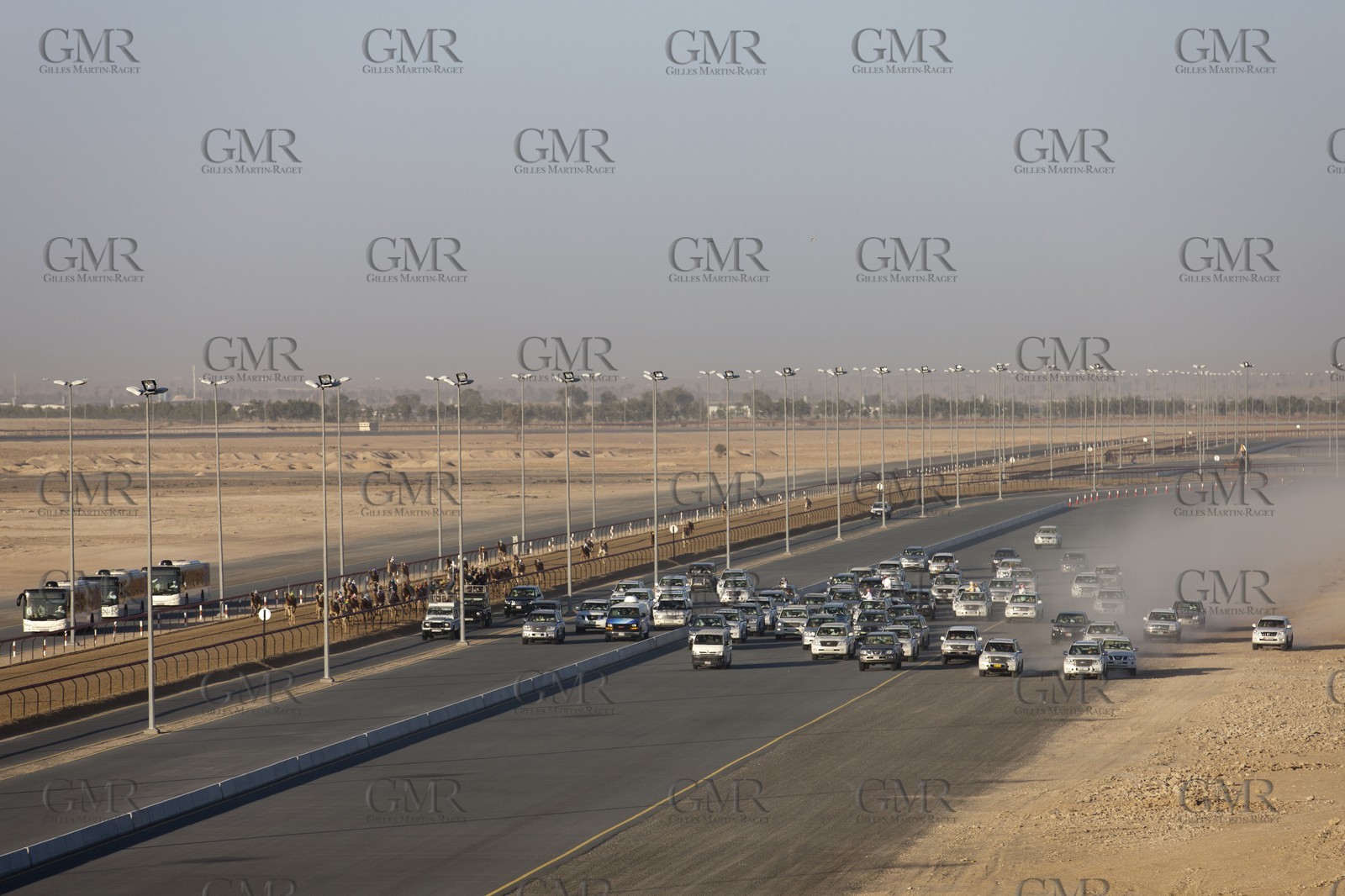 20 11 2010 - Dubai (UAE) - Camel races