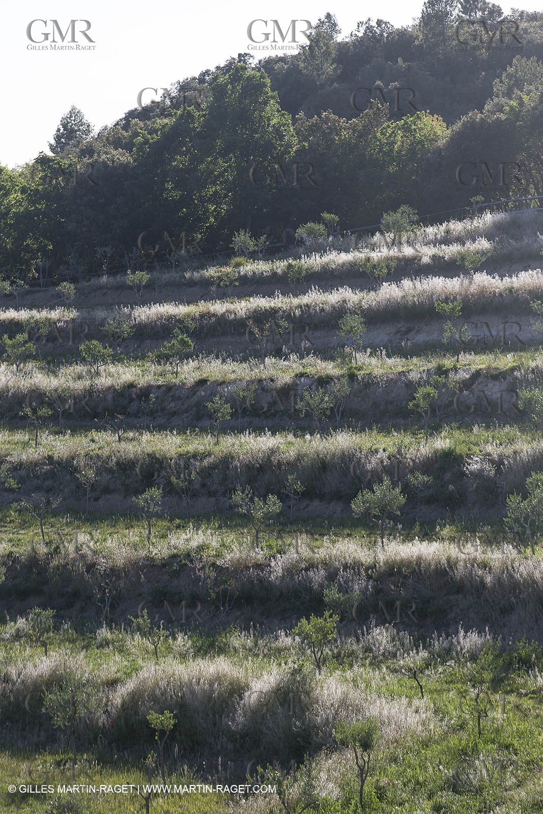 Domaine de la Baume - Tourtour (FRA,83) - 15 05 2014