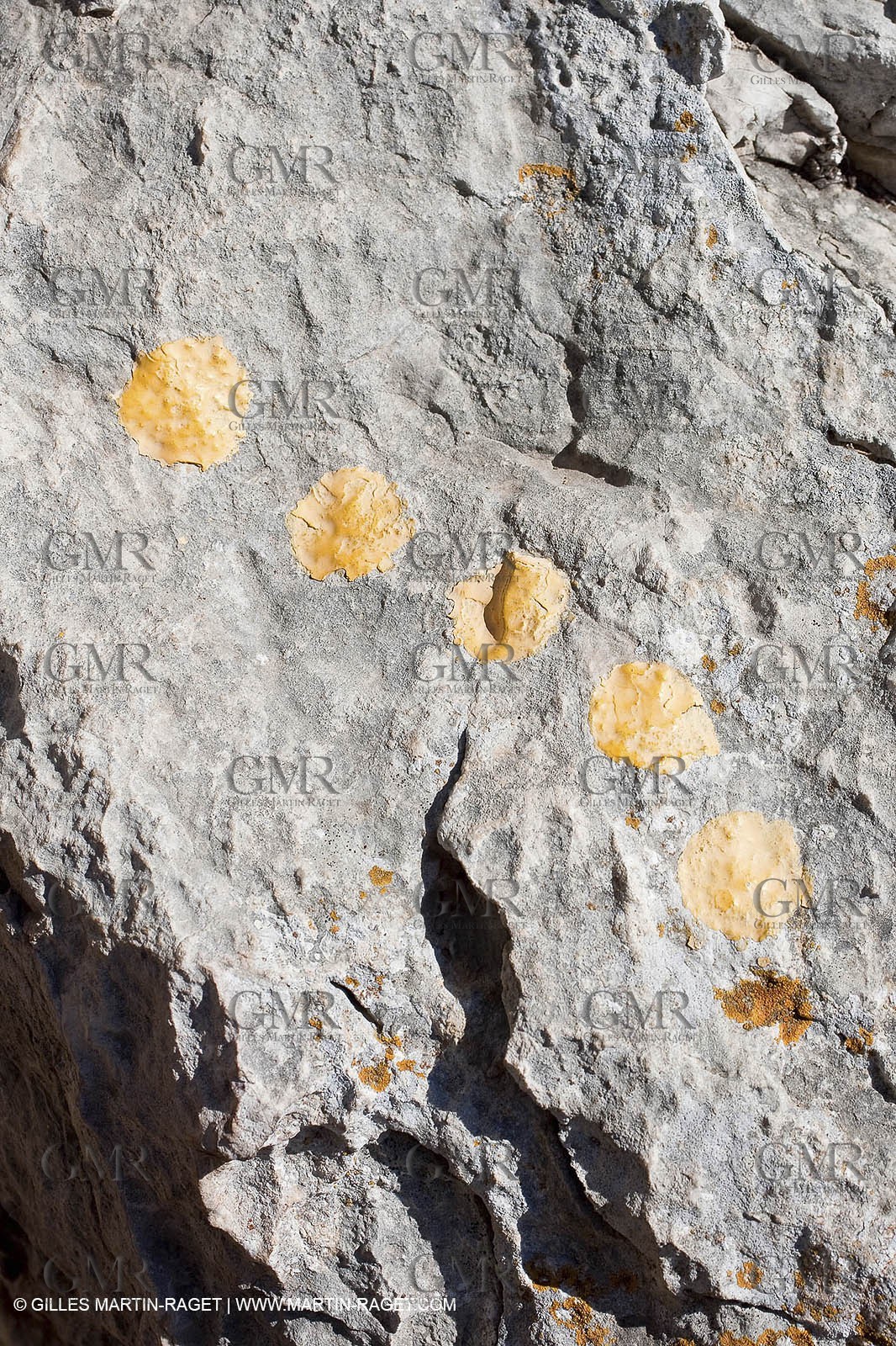 27 03 2009 - Marseille (FRA, 13) - Les Calanques - Morgiou - Path between Luminy and Morgiou