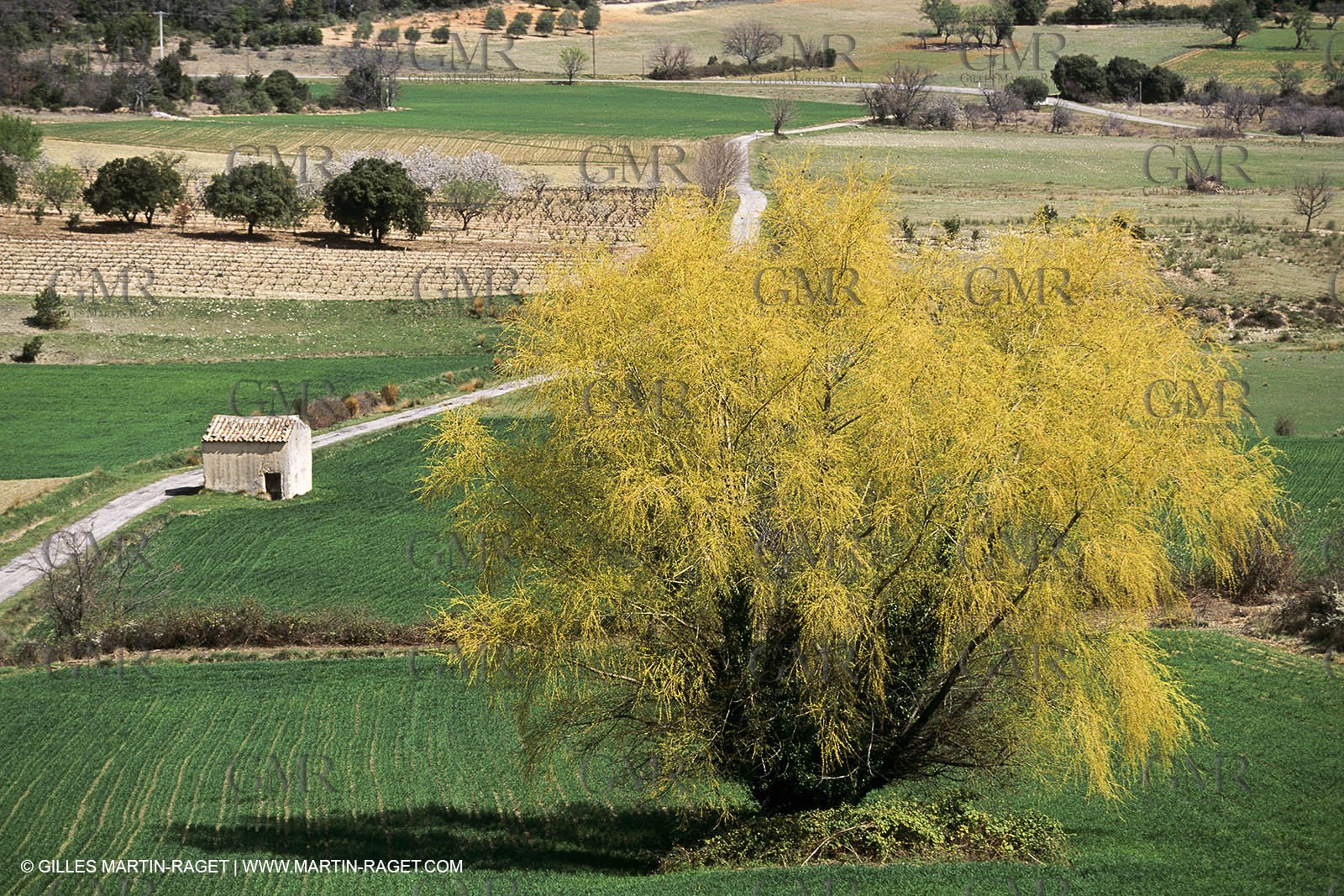Luberon in winter near Saint Satrunin les Apt (FRA,84)