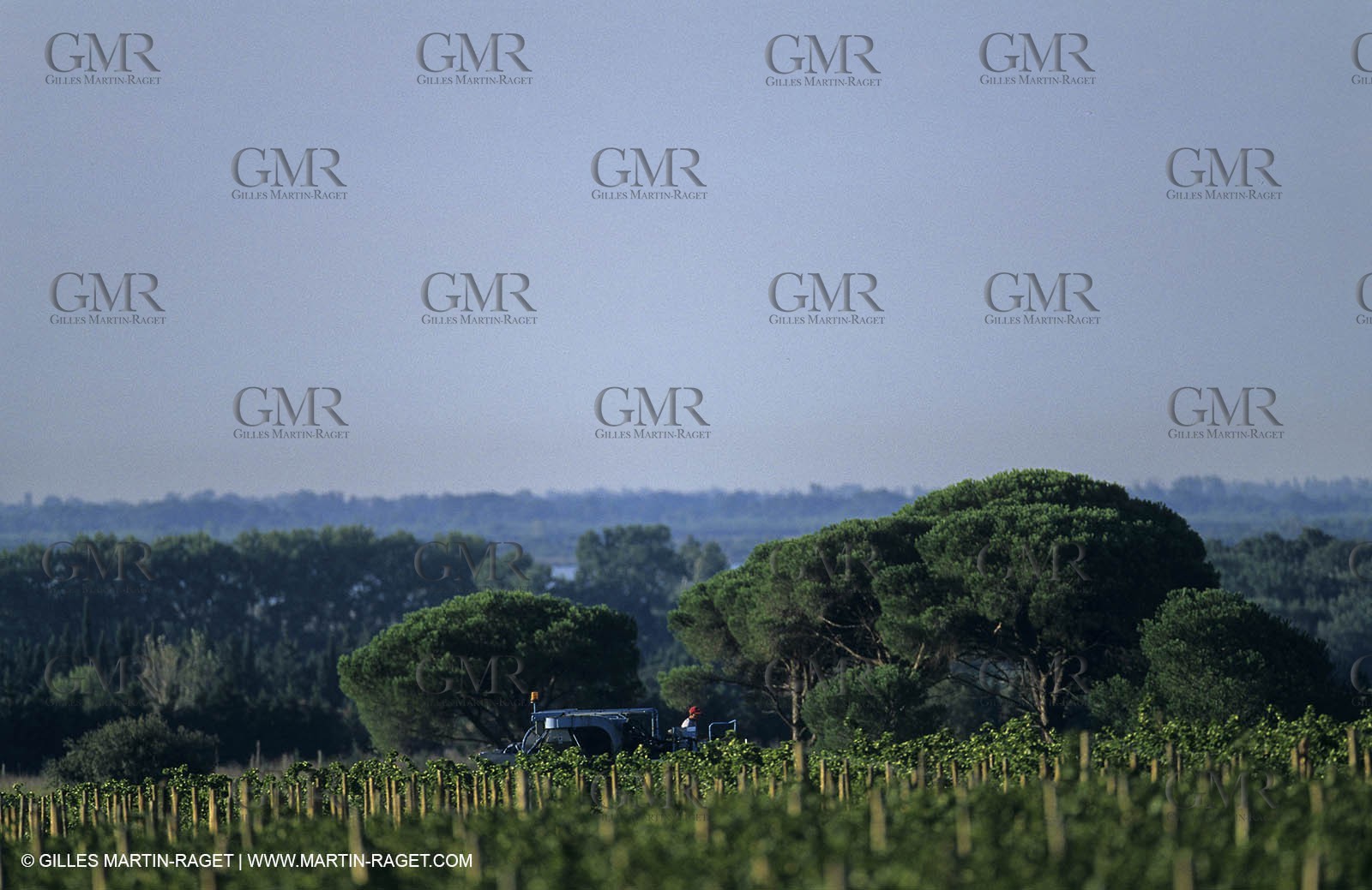 Paysages de Nîmes Métropole (FRA,30) -Costières