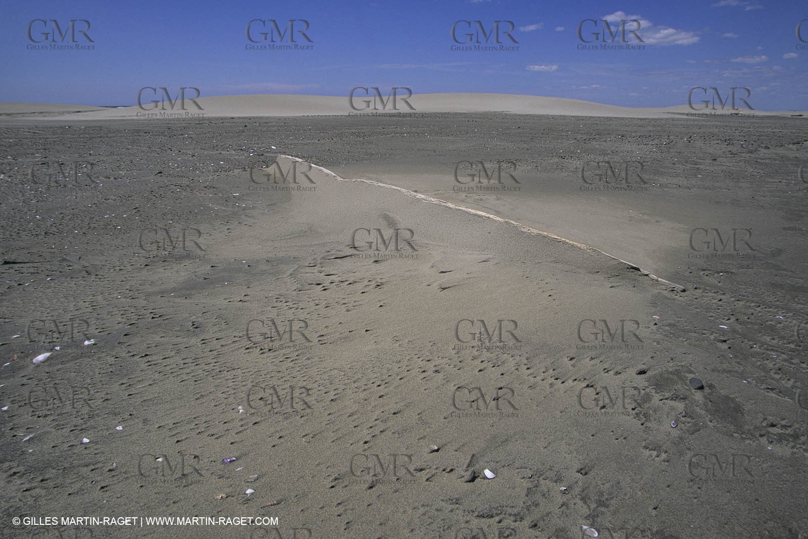 France, Provence, Camargue, Nature, plage, sable