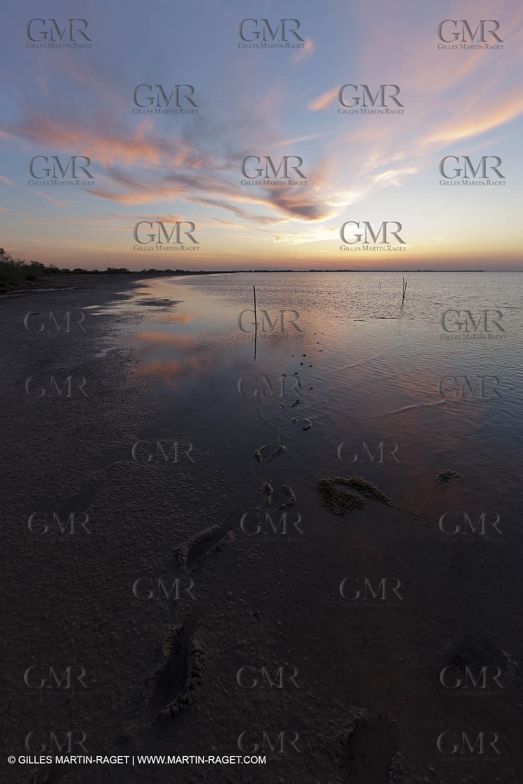 25 05 2011 - Les Saintes Maries de la Mer (FRA,13) - gypsies gathering