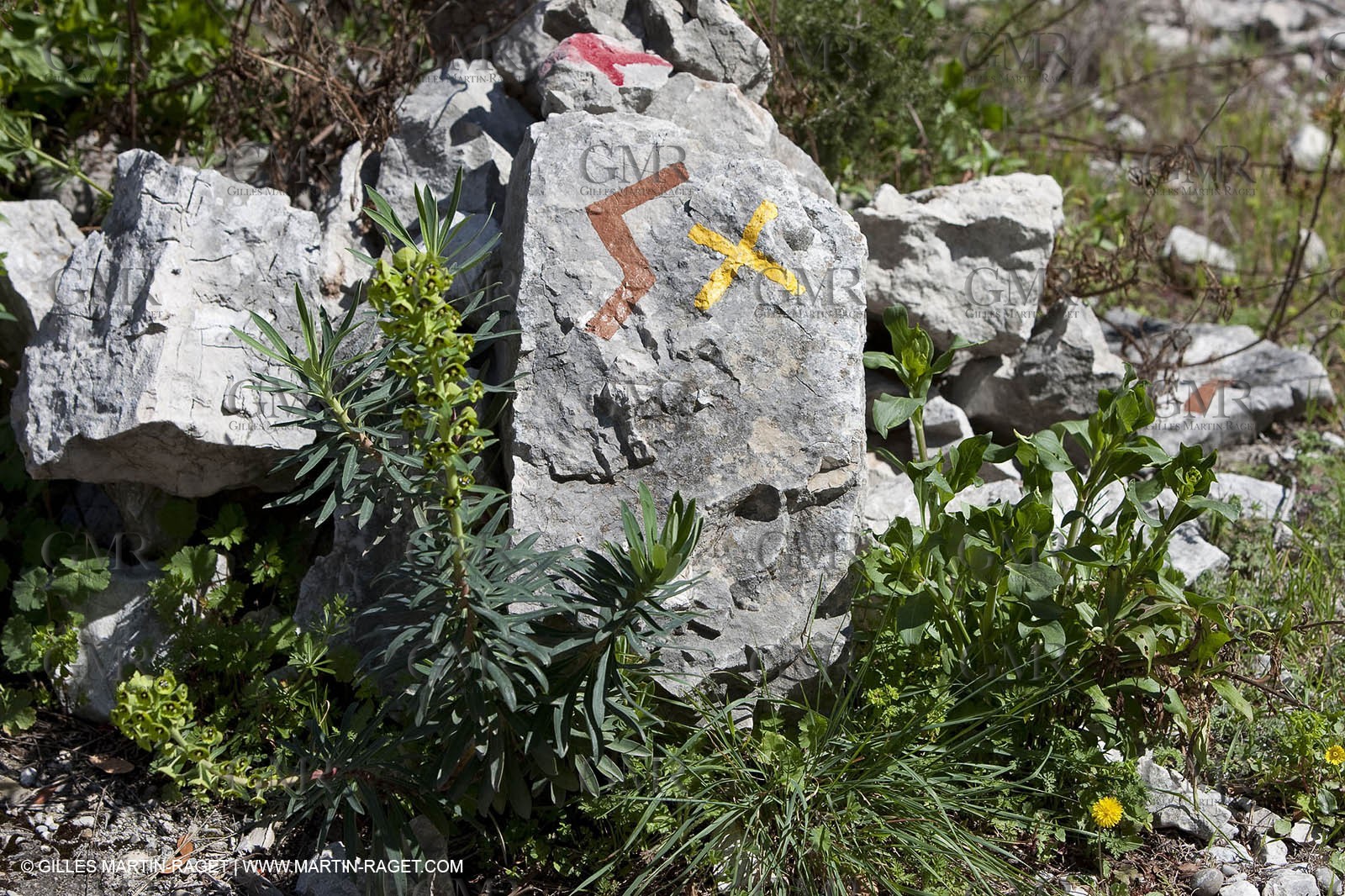 27 03 2010 - Marseille (FRA,13) - Les Calanques - Port Miou