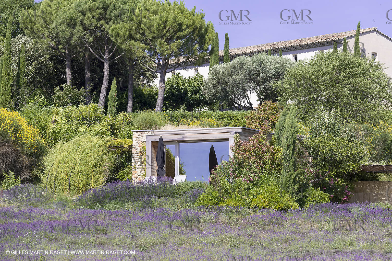 22 06 2018, Saint-Saturnin les Apts (FRA,84), Domaine des Andéols