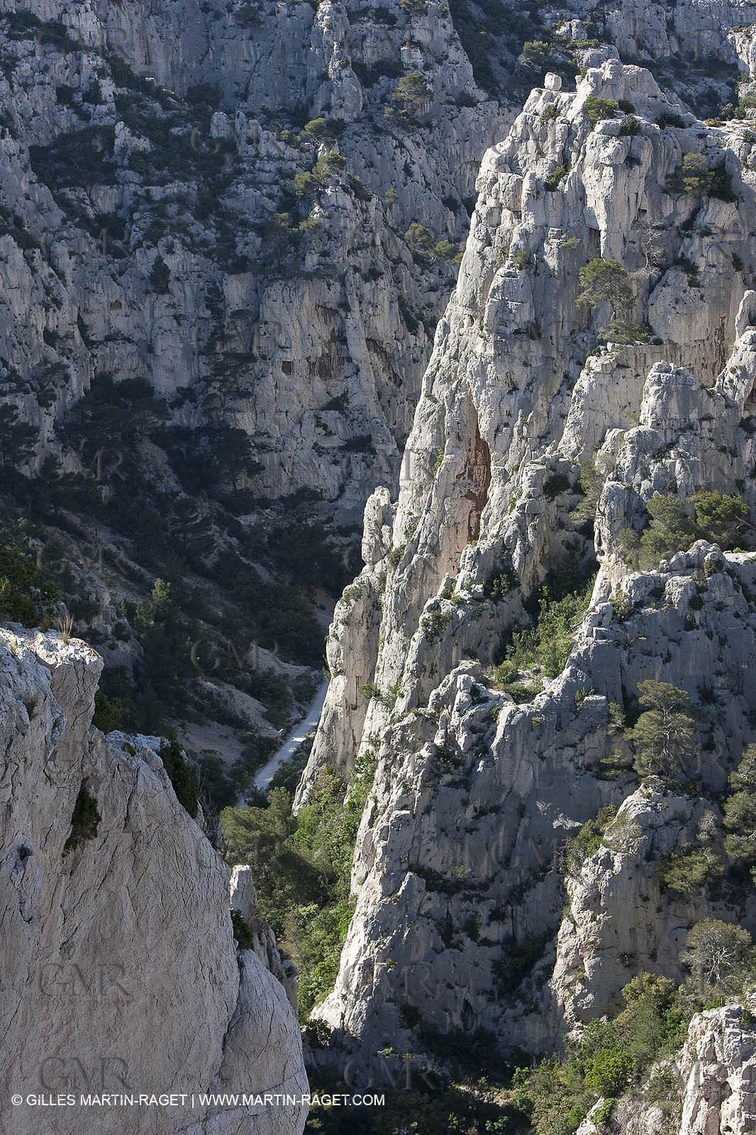 06 05 2009 - Marseille (FRA, 13) - Les Calanques - Sur le plateau de Castelviel - En Vau