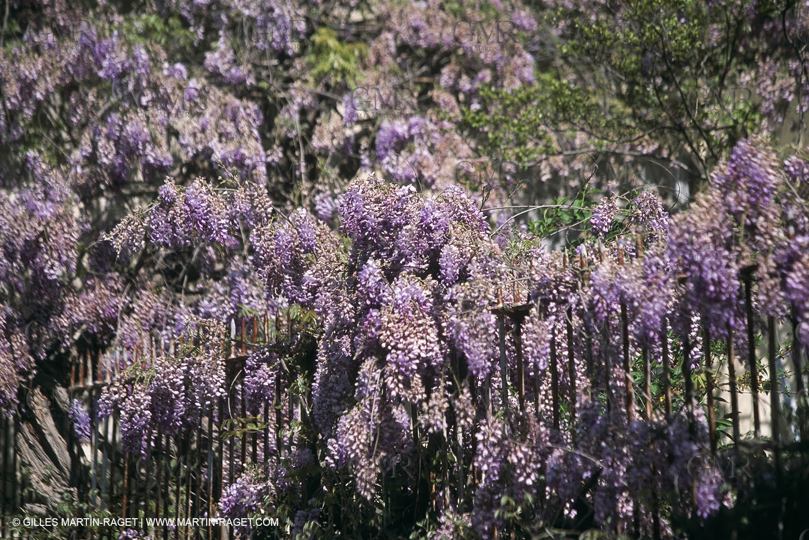 Nîmes Métropole landscapes (FRA,30) - Vaunage