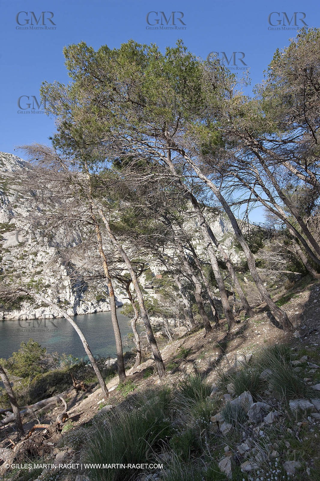 27 03 2009 - Marseille (FRA, 13) - Les Calanques - Morgiou