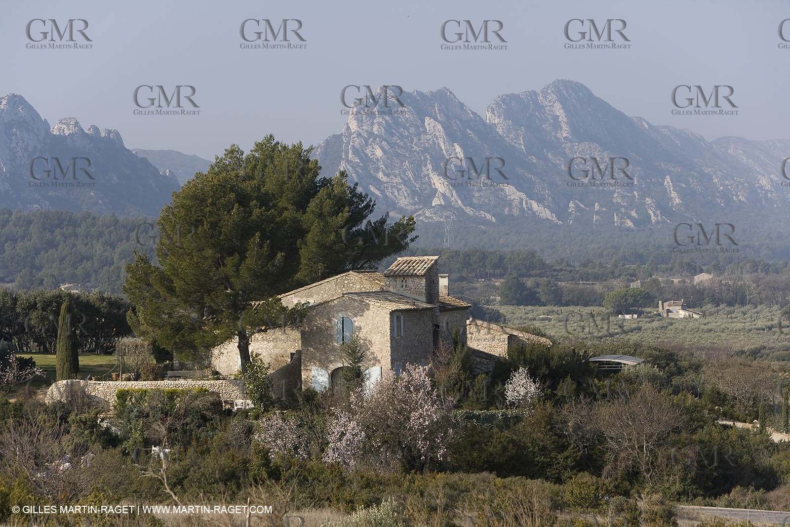 16 02 2008 - Eygalières (FRA, 13) - Alpilles hills landscapes