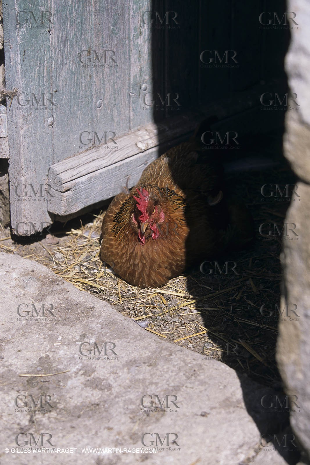 Camargue (FRA) - houses and cants from Camargue