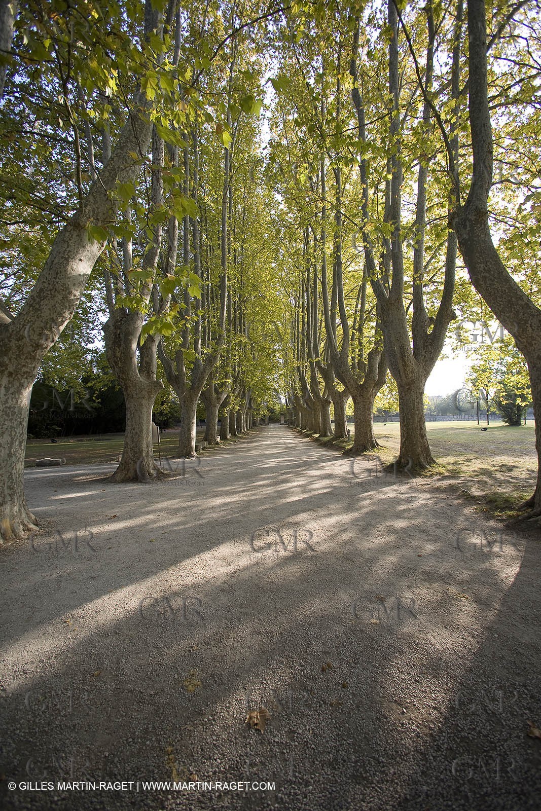 28 10 2007 - St Rémy de Provence (FRA,13) - Chateau des Alpilles