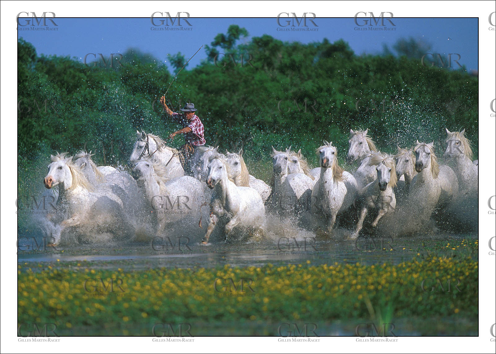 Product: in house made quality print on 8 ultrachome colors Epson ink Jet printer.Available sizes: . 30x40 cm. 50x70 cm. 80x120 cmAvailable papers: . Standard 250 gr glossy paper print, black streak, white margin, no signature. Top quality glossy 290 gr. paper, black streak, white margin, checked and signed by the author. Fine Art print (signed, numbered, stamped, registered) on demand. Other supports (Canvas, Acrylic, Metal) on demandPackaging: cylindric reinforced tubeShipping options: regular mail or Shipping companyClick on the basket icon to select your options and start the online ordering process