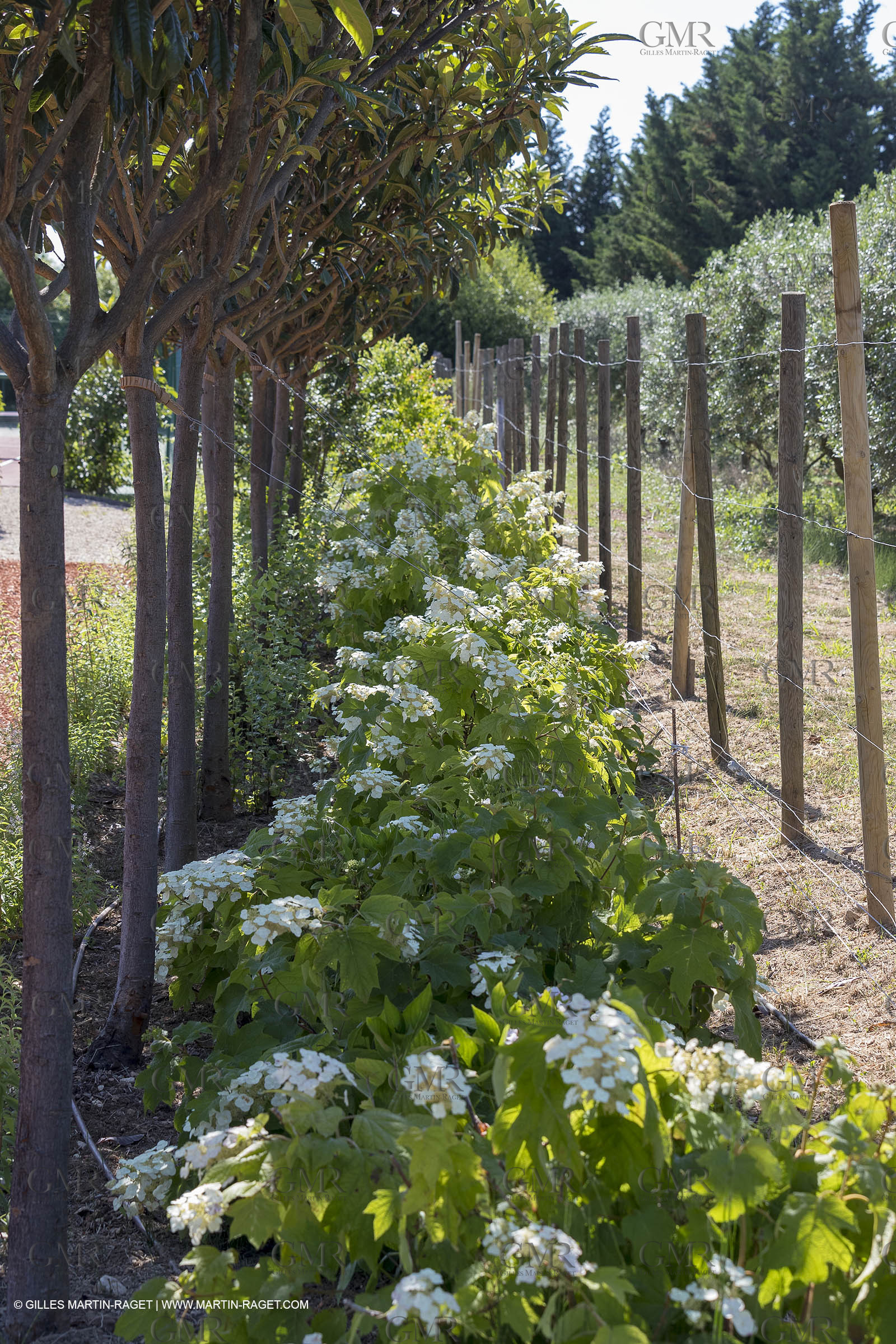 22 06 2018, Saint-Saturnin les Apts (FRA,84), Domaine des Andéols